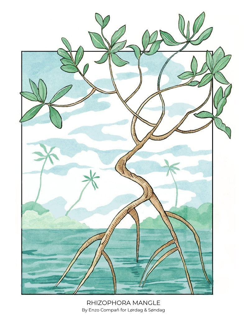 MANGROVE Side Table