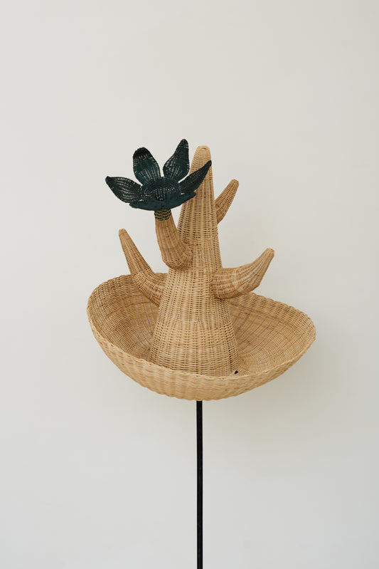 Sombrero LS 02