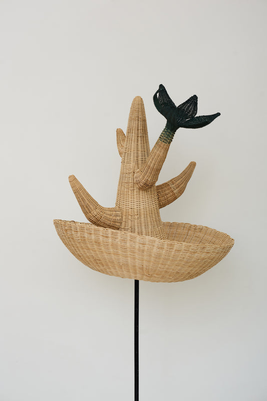 Sombrero LS 02